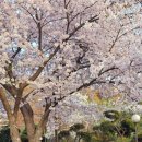 가나안주유소 이미지