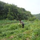 남진농장 이미지