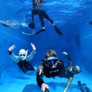 힐스테이트 에코 평촌 | 안양 프리다이빙 강습 리뷰 이색체험 찾는다면 플러시안