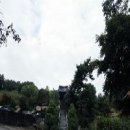 도리 아당 Daum카페
