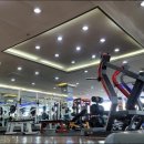 비바휘트니스 이미지