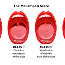 다원의원 이미지