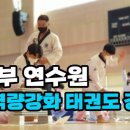 경희대태영태권도 이미지