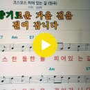 코스모스 피어 있는 길-김상희 이미지