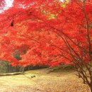 동백V-TOWN 이미지