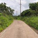 제주 올레길 19코스 이미지