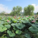 부여(사비)-15 이미지