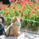 (주)에듀펫 네이버블로그
