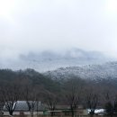 괴목초등학교 이미지