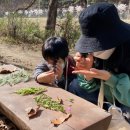 생태와대구 이미지