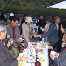 수석겔러리 이미지
