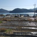 구산면423 네이버블로그