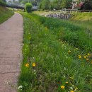 11월 평택/100년 식당&amp;배다리공원 이미지