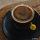 선경목장 이미지