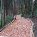 다방면 이미지