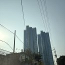 오션스테이 A | 부산역 호텔 레지던스 브라운 스위트 가족 숙소 투베드 오션 A 방문 후기