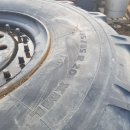 엠티브이20로 이미지