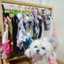 뽀미네공방 네이버블로그