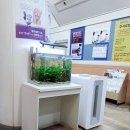 백신경외과정형외과의원 이미지