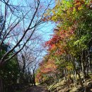 진상초등학교 이미지