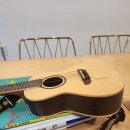 왕초보 우크렐레 이미지