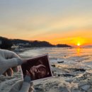 여의대방로7길 | [임신] 임신 21주 기록(청라 여성병원, 정밀 초음파, 감기, 여의도 해동복국, 서해에서 2026년도 해돋이)