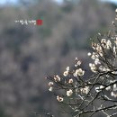 시내암천 Daum카페
