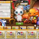 펫아일랜드 이미지