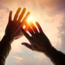 에그 셀런트 이미지