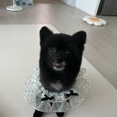 서정리역 이미지