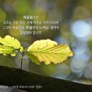 깨달음