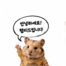 포항 효자동 맛집 강변 육숫간 후기