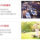 성연어린이집 차량1 이미지