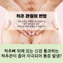 바르다마취통증의학과의원 이미지