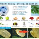 스마트크린 이미지