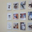 꼬숩당개 이미지