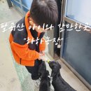 청계2길 | 대구 팔공산 아이와 갈만한 곳 동물먹이체험 하하농장