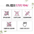 원데이클래스-퍼품 이미지