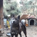 호피농장 이미지