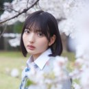 모모미 이미지