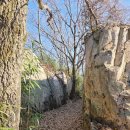 진식태극권수련원 이미지