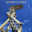 파란렌탈주