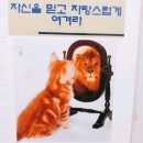 한광 이미지