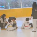 박성광온리원태권도 이미지