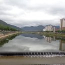 무주김밥나라 이미지