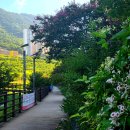 냉천근린공원 이미지