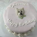 콩빵가게 이미지