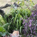 외갓집클라스 이미지