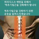 시립 두류도서관 이미지