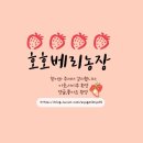 자담치킨정읍 이미지